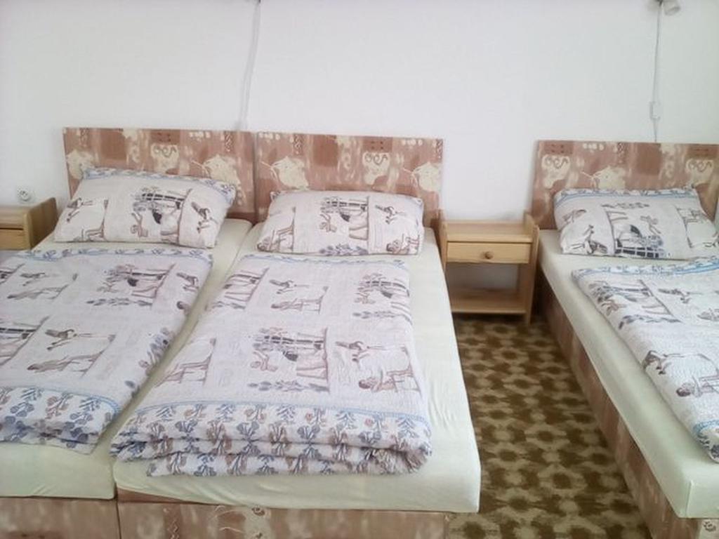 Apartment Vysocina Svratka Ngoại thất bức ảnh